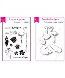 Summer - In the tropics