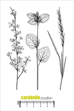 Art Stamp-Herbier 2