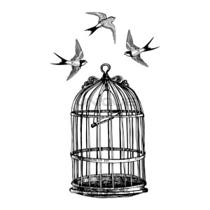 Unique Vogelkooi mit Vogels