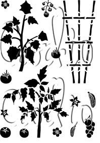 Collection Vegetable Patch