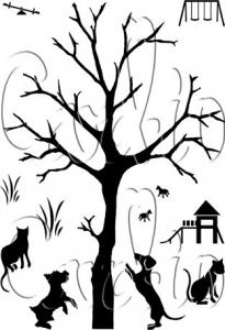 Collection walk in the Park