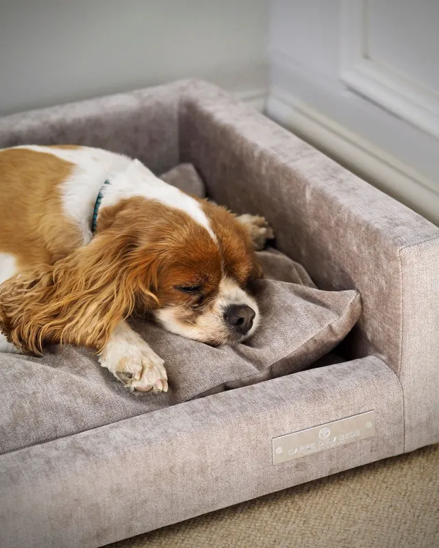 Carpe Diem Beds - Hunnebo hundsäng Small