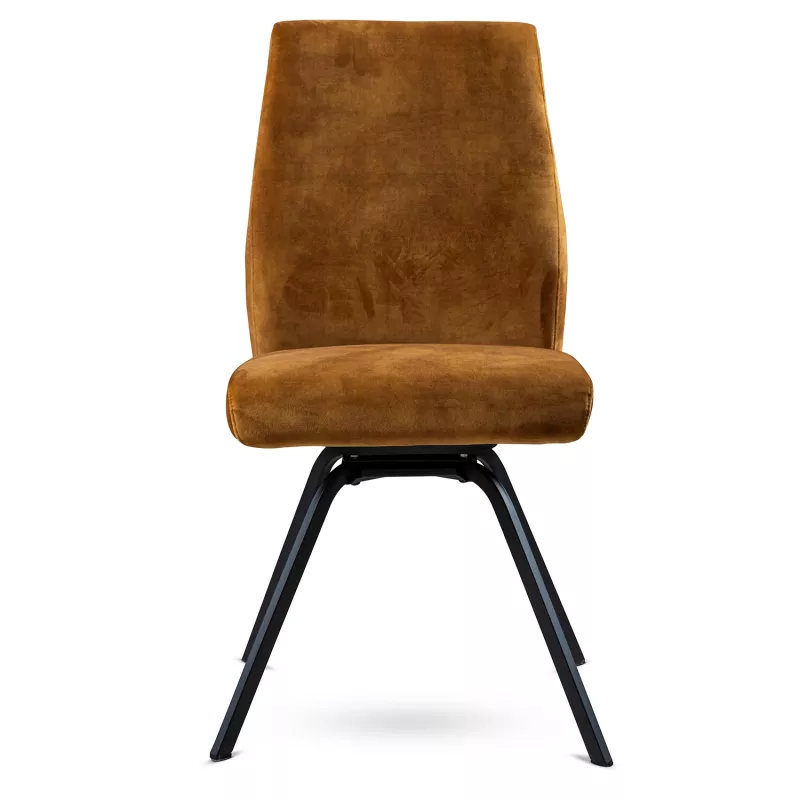 Perfect Harmony - Ciro Stol