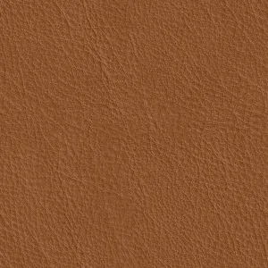 Anilux 486 Cognac