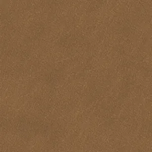 Turo 301 Desert Oat