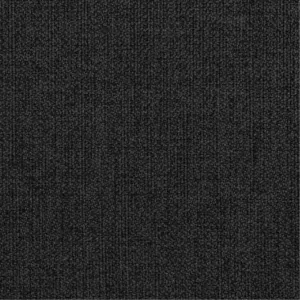 Coast 2392 Anthracite