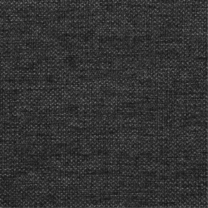 Coast 2574 Graphite