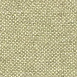 Delhi 2662 Light Olive