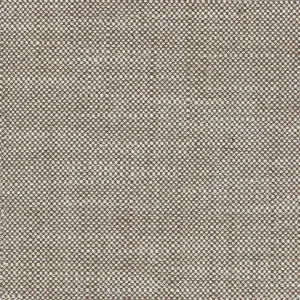 Delhi 2664 Light Brown