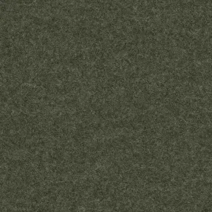 Facet 9625 Olive