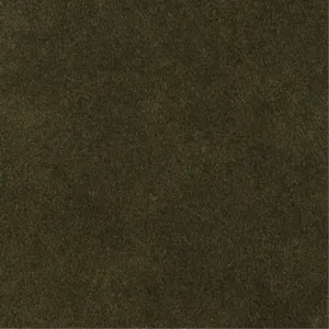 Jeep 2864 Moss