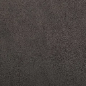 Kentucky 2590 Anthracite