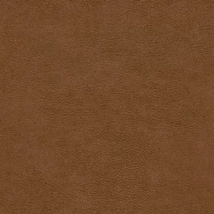 Kentucky 2596 Dark Cognac