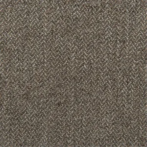 New Ocean 2652-1 Mole