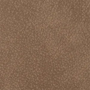 Python 9843 Caramel