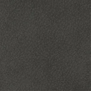 Python 9847 Graphite