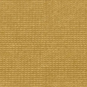 Run Again 9961 Mustard