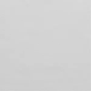 Sixty 2551 White