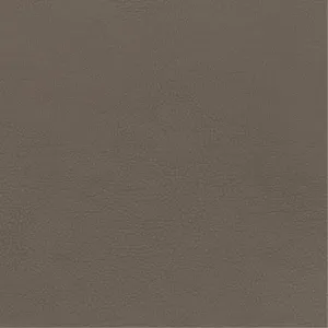 Sixty 2553 Sahara