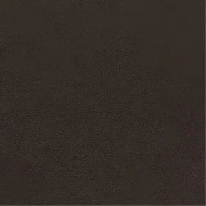 Sixty 2554 Chocolate