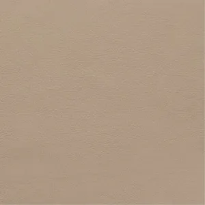 Sixty 2557 Sand
