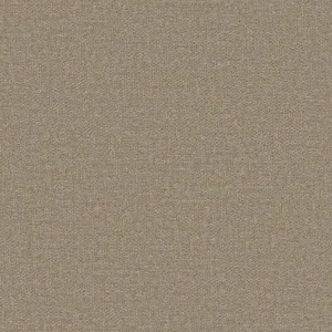 Storm 9491 Cream