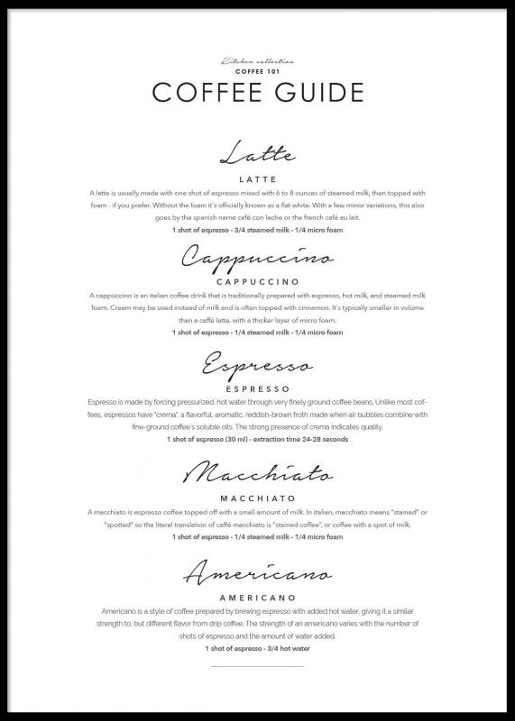 Poster Coffee Guide