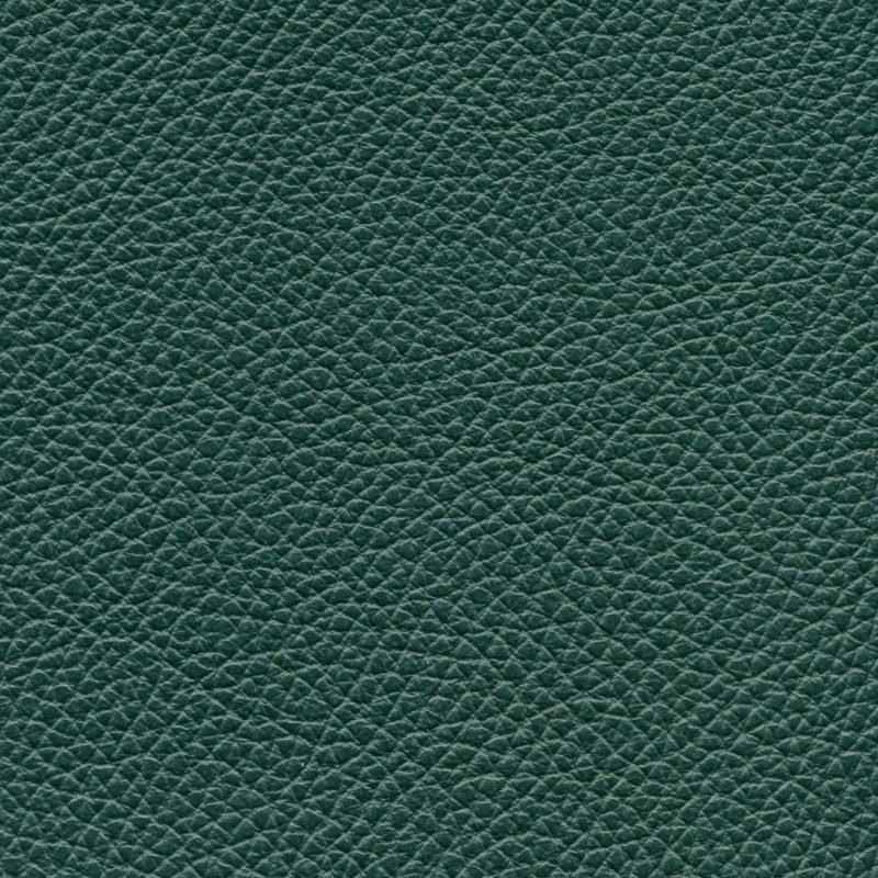 Fabric 7
