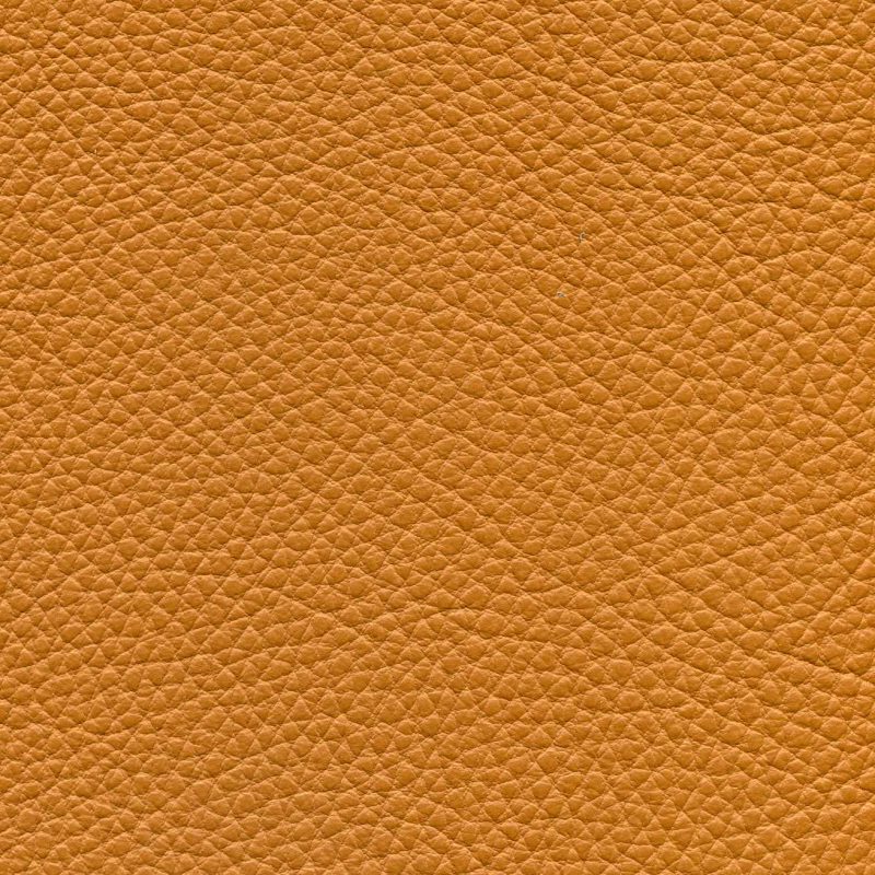 Fabric 7