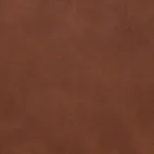 California Rust 19
