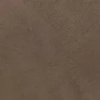 California Taupe 64