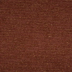 Denali Bronze 19