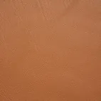 Dinara Cognac 65