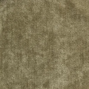 Eros Sea grass 21