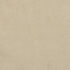 Evita Cream 04
