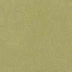 Evita Lime 17