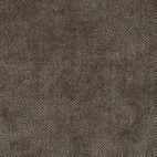 Evita Mole 25