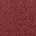 Fantasy Cherry 36