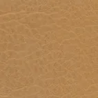 Grizzly Sand 09