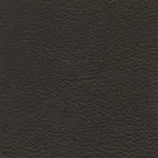 Nappa Dark grey 79