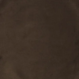 Paris Brown 65