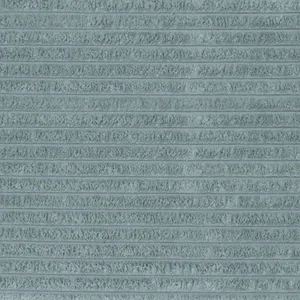 Ribcord Aqua 19