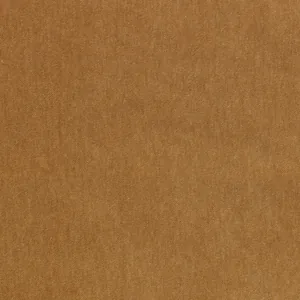 Trapani Mustard 17