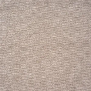 Velvety Latte 61