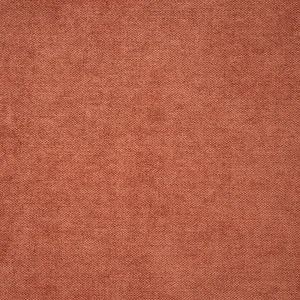 Velvety Rust 19