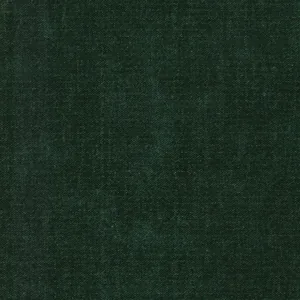 Nova 06 Forest