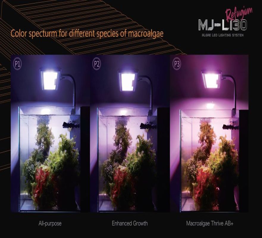 MAXSPECT - Jump LED MJ-L130 - 30w - Rampe Led pour aquarium marin