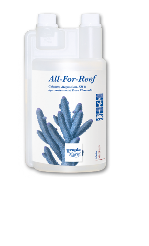 All-for-Reef