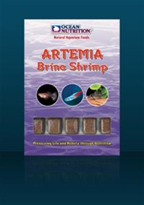 Ocean nutrition Artemia