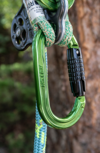 Abolute Oval Carabiner